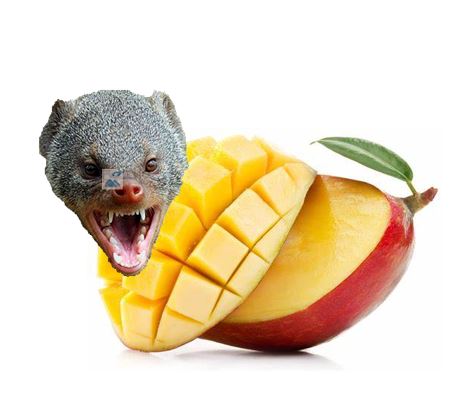 VapeCat Mungomango - 100ML